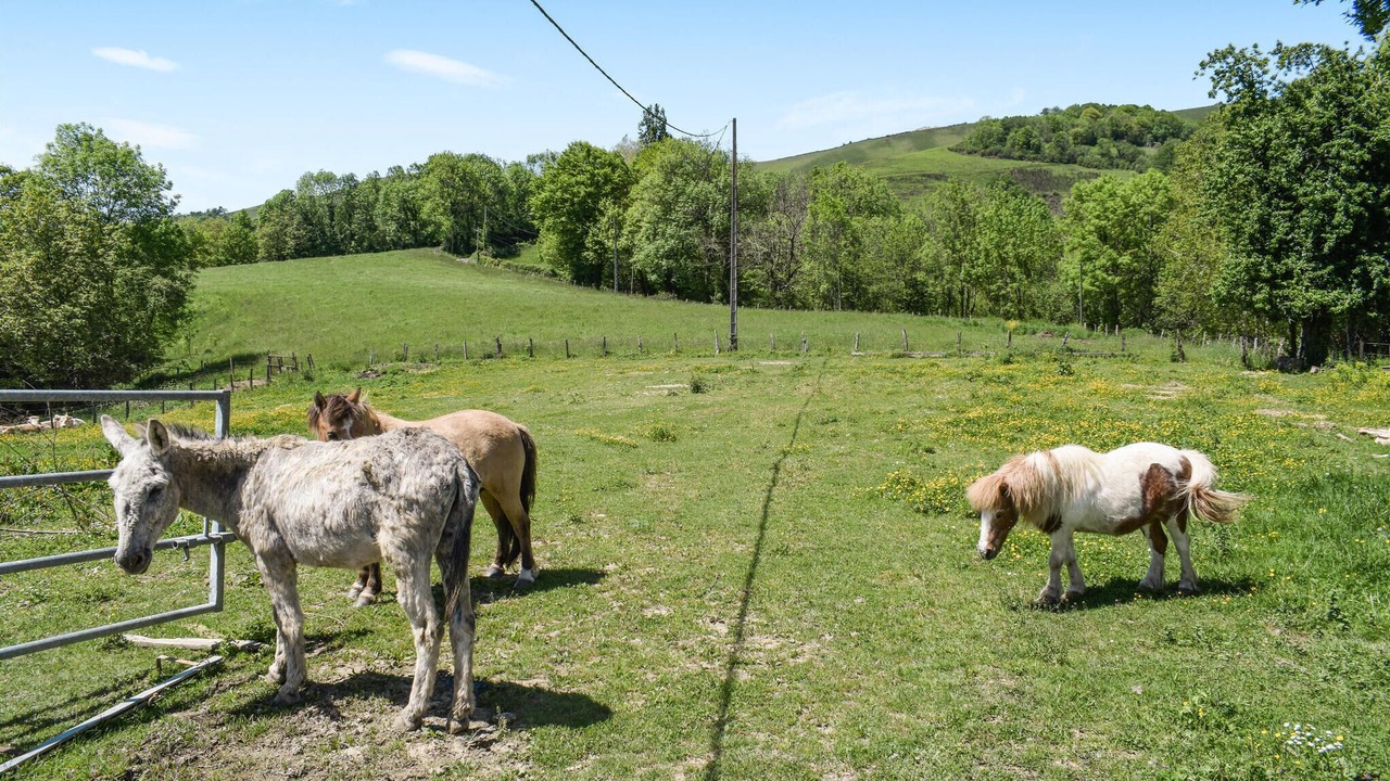Photo of Outdoor in Aramits