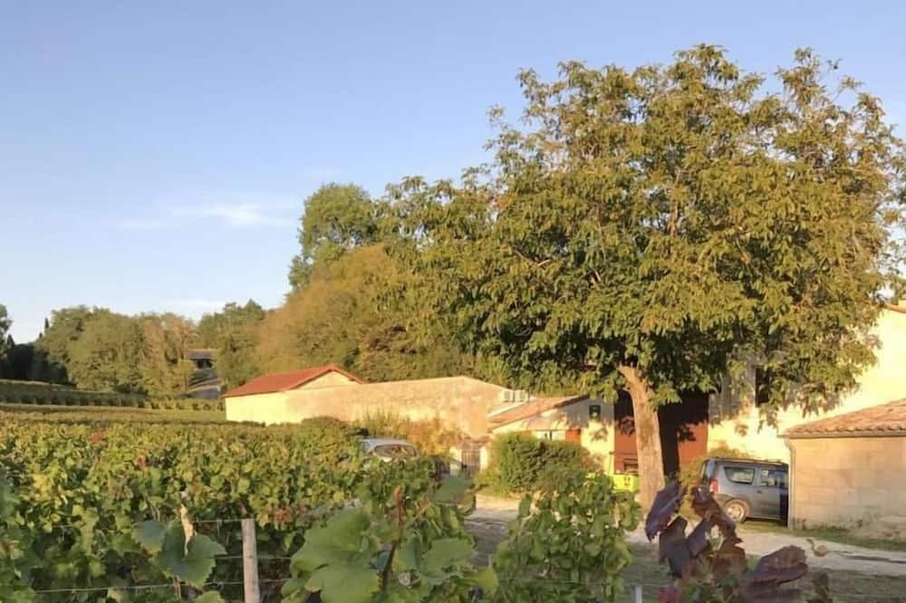 Photo of Outdoor in Bourg-sur-Gironde