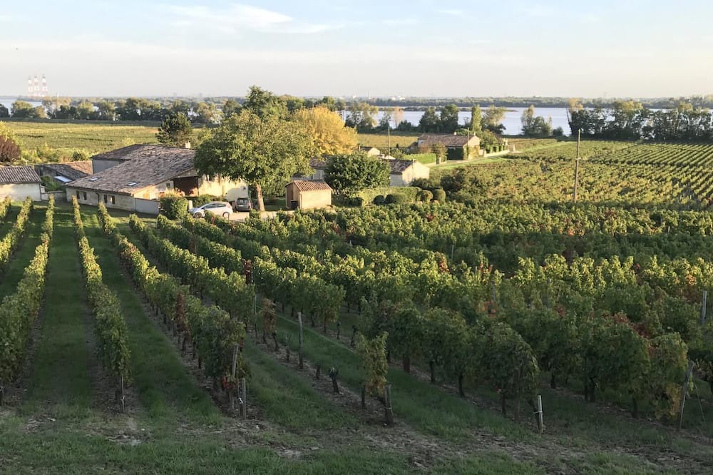 Photo of Outdoor in Bourg-sur-Gironde