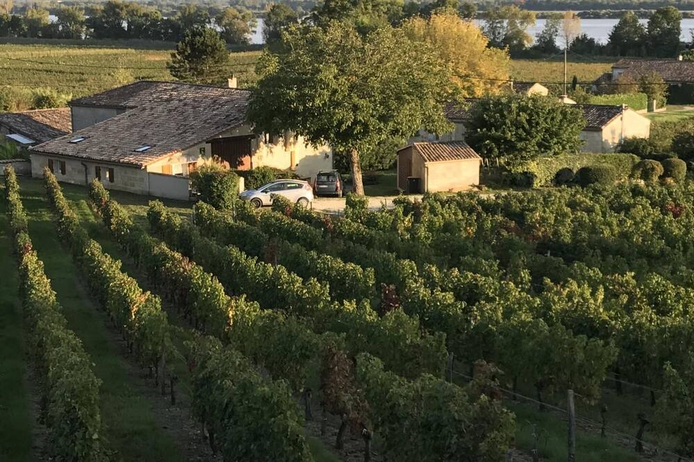 Photo of Outdoor in Bourg-sur-Gironde