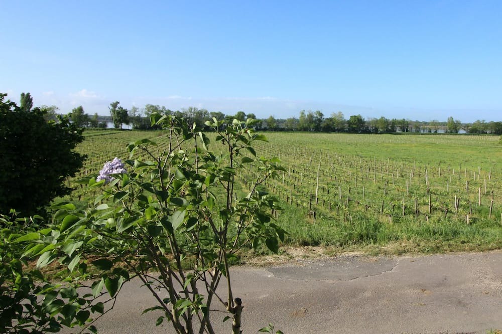 Photo of Others in Bourg-sur-Gironde