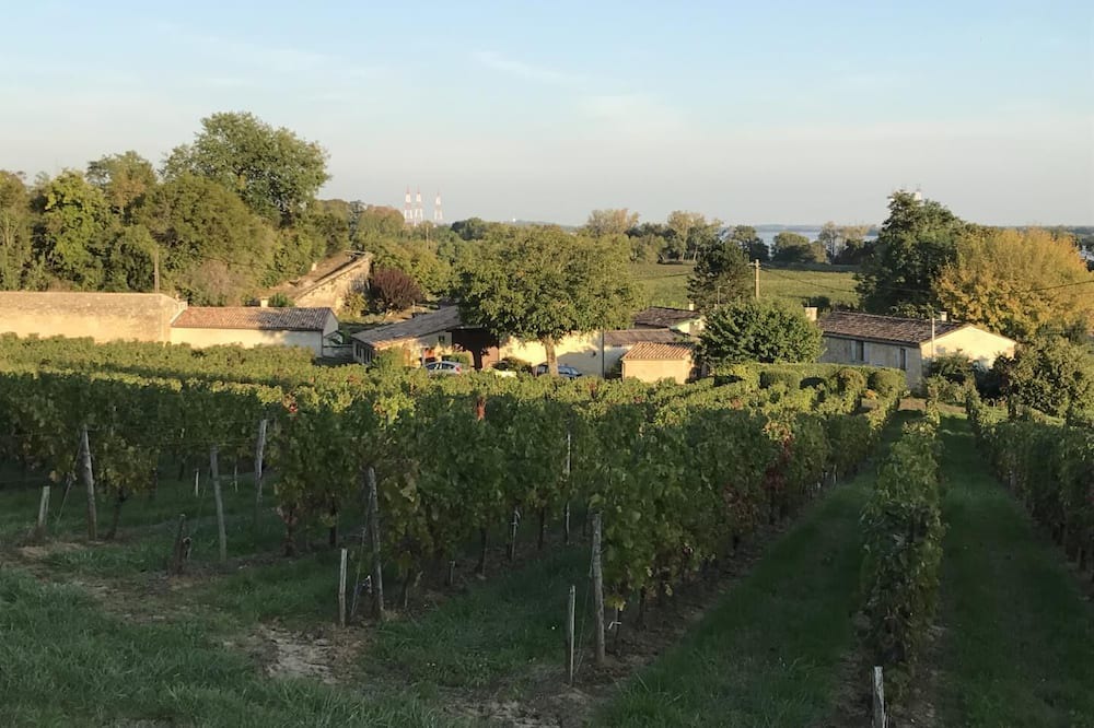 Photo of Outdoor in Bourg-sur-Gironde