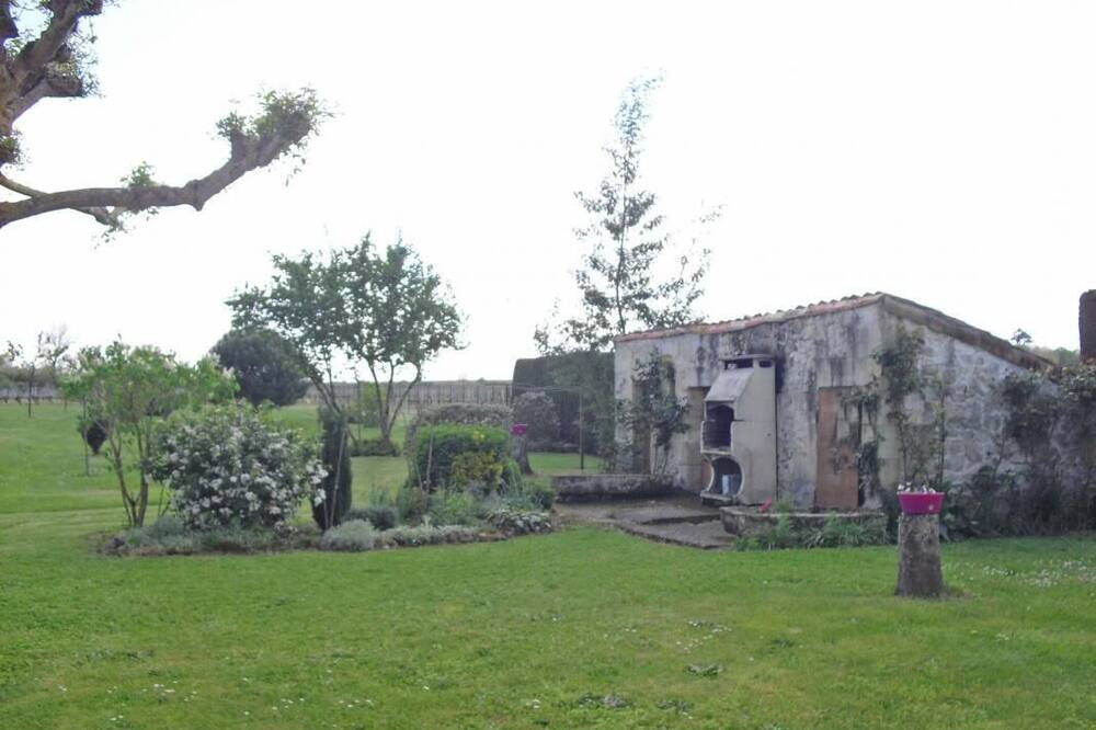 Photo of Outdoor in Saint-Christoly-de-Blaye