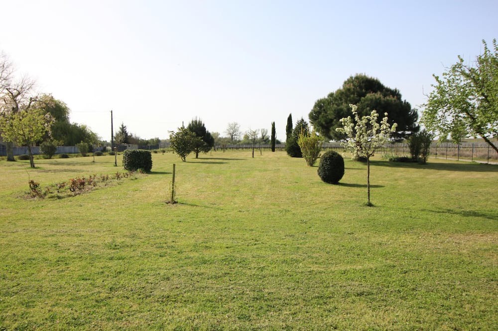 Photo of Others in Saint-Christoly-de-Blaye