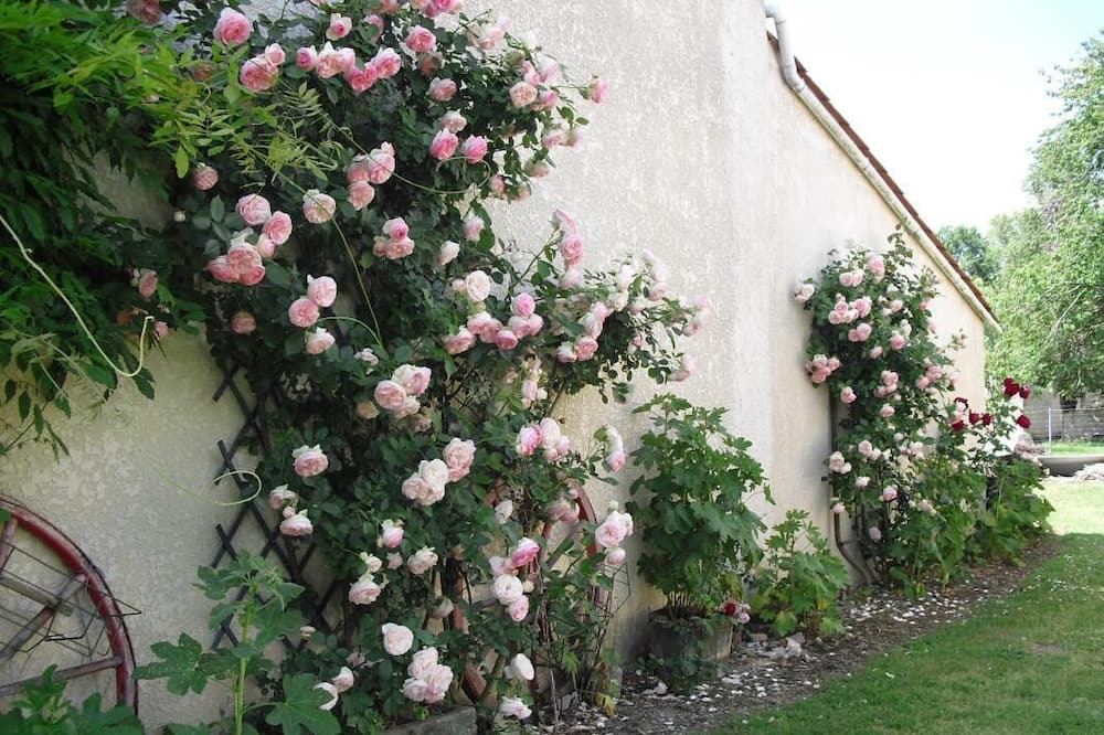 Photo of Outdoor in Saint-Christoly-de-Blaye