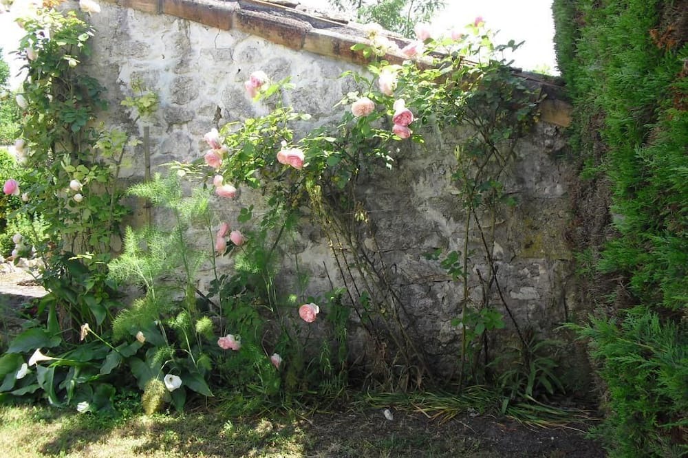 Photo of Outdoor in Saint-Christoly-de-Blaye