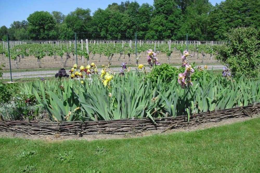 Photo of Outdoor in Saint-Christoly-de-Blaye