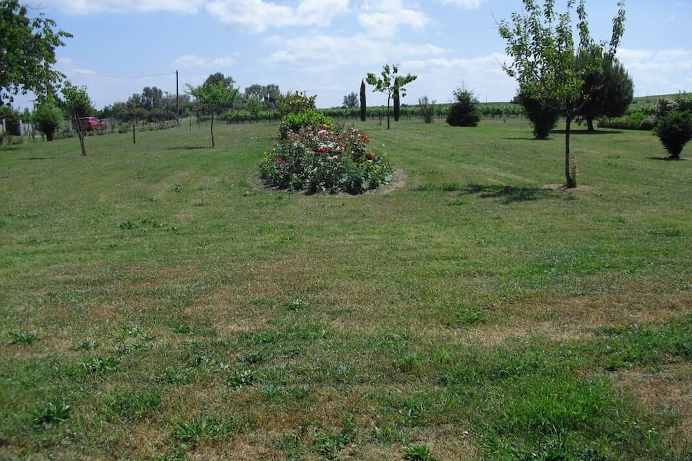 Photo of Others in Saint-Christoly-de-Blaye