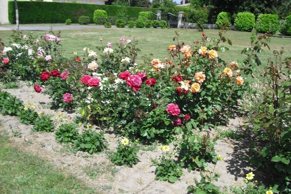 Photo of Outdoor in Saint-Christoly-de-Blaye