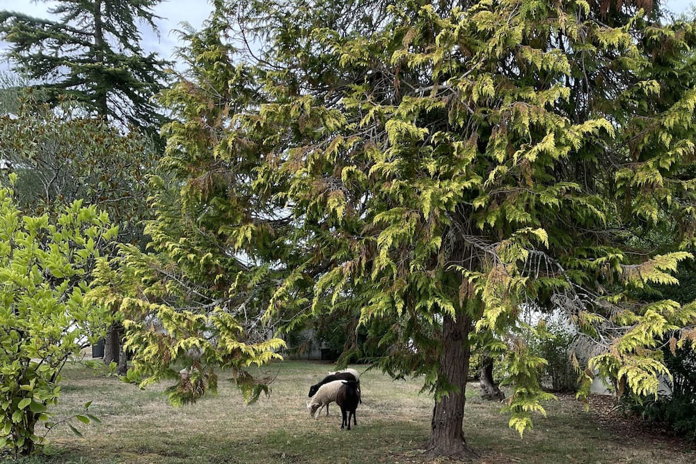Photo of Outdoor in Le Seure