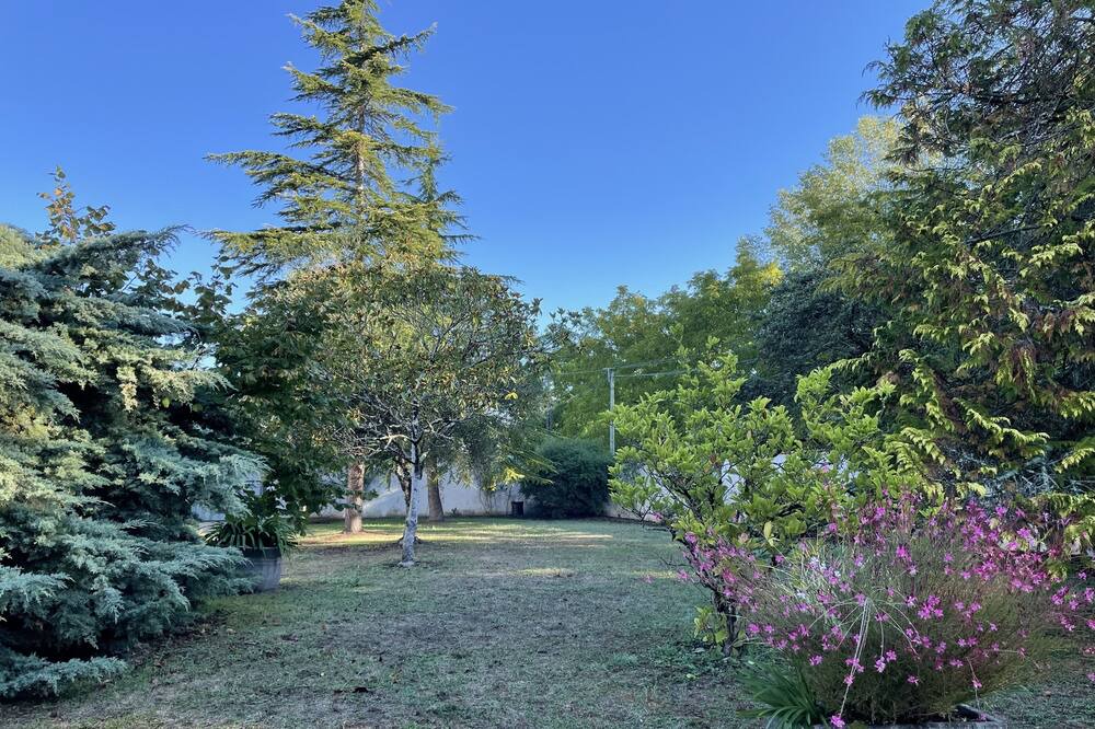 Photo of Outdoor in Le Seure