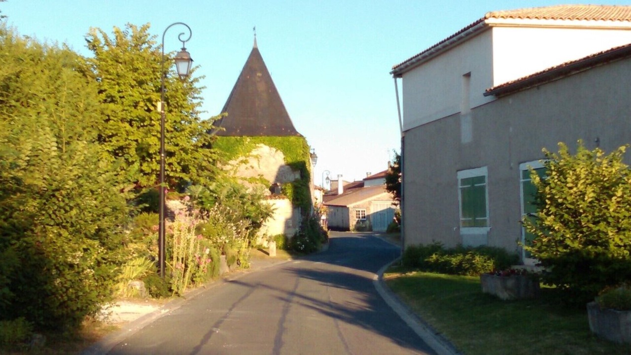 Photo of Outdoor in Saint-Seurin-de-Palenne