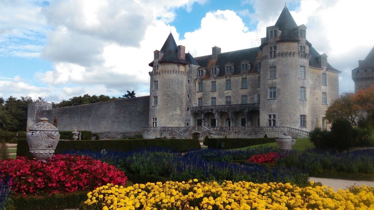 Photo of Outdoor in Saint-Seurin-de-Palenne