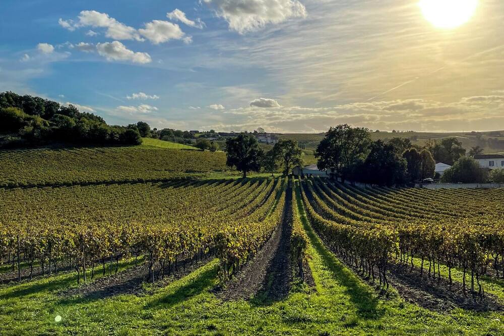 Photo of Outdoor in Angeac-Champagne
