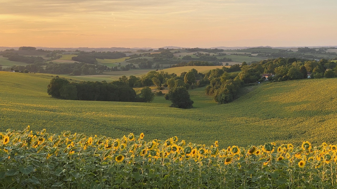 Photo of Outdoor in Bouteilles-Saint-Sebastien