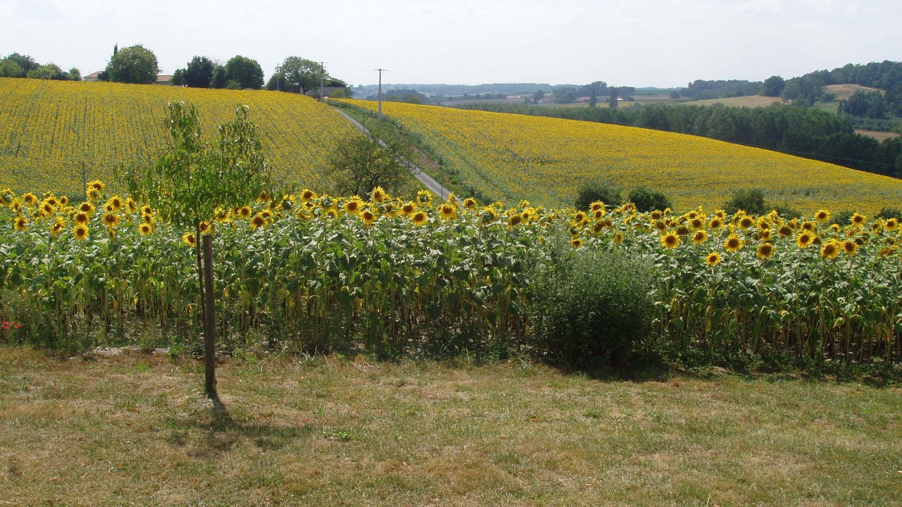 Photo of Outdoor in Boisne-la-Tude