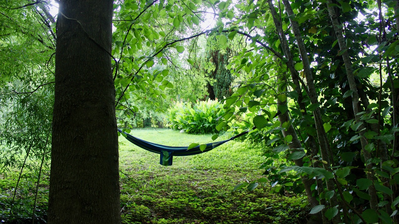 Photo of Others in Paizay-le-Tort