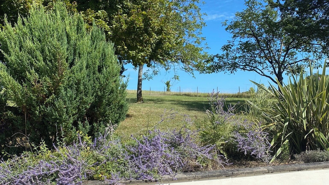 Photo of Outdoor in Allemans