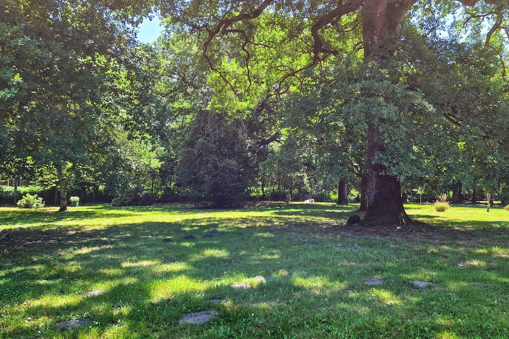 Photo of Outdoor in Mano