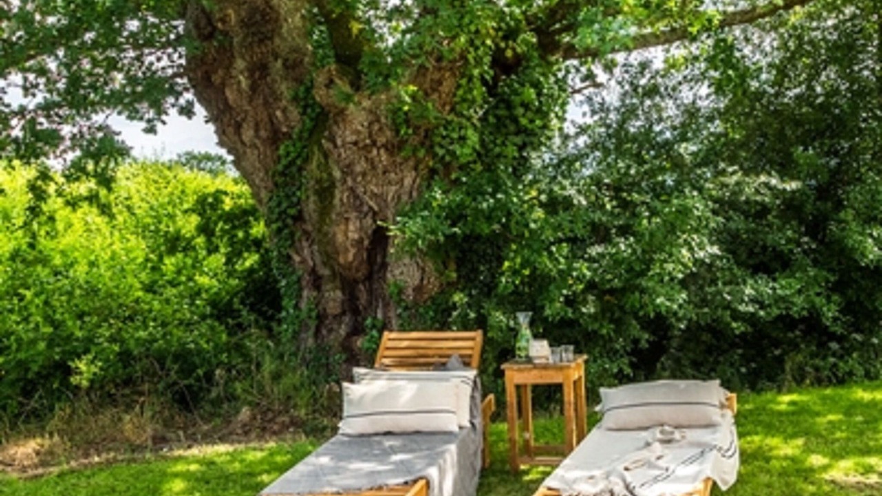 Photo of Outdoor in Vasles