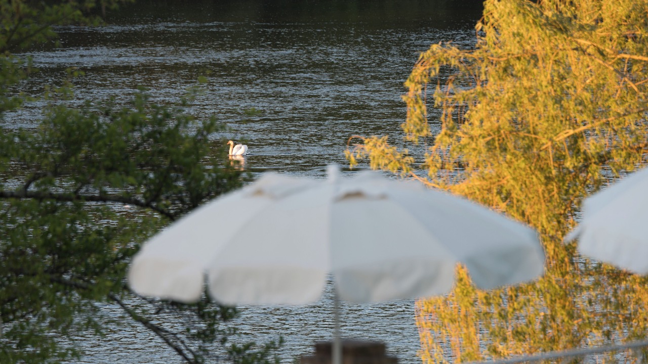 Photo of Outdoor in Lalinde