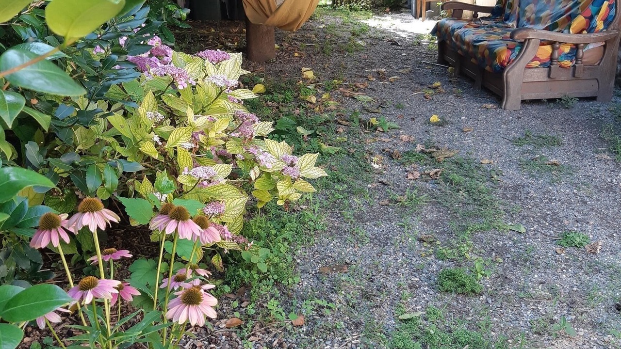 Photo of Outdoor in Velines