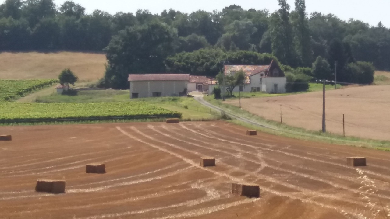 Photo of Outdoor in Courgeac