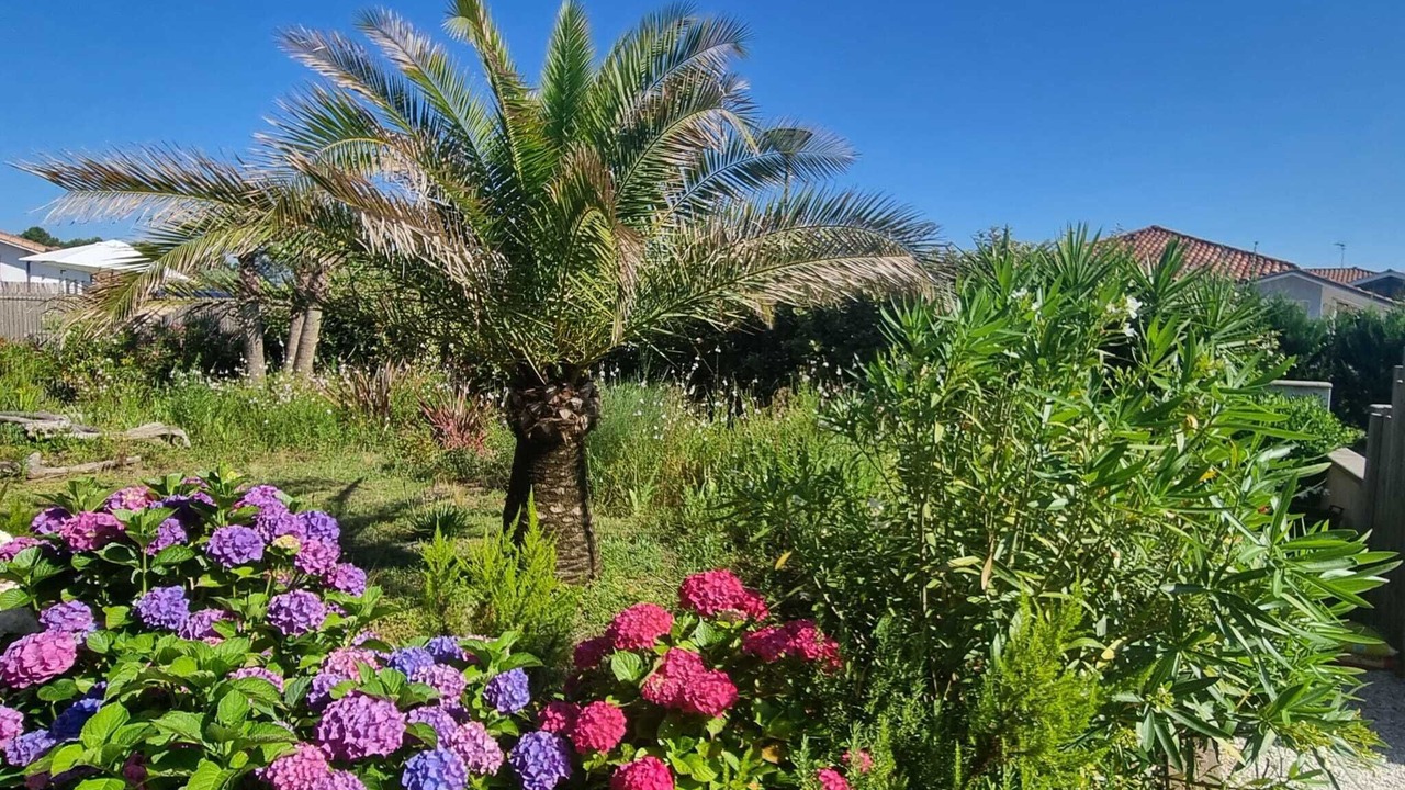 Photo of Outdoor in Tosse