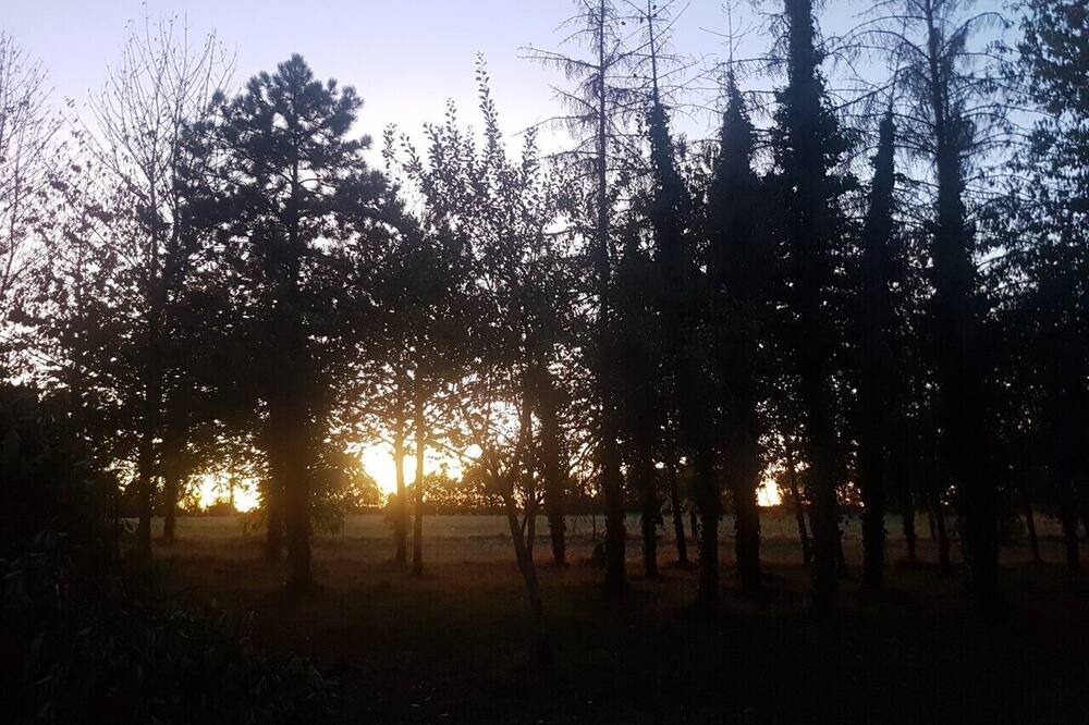 Photo of Outdoor in La Bataille