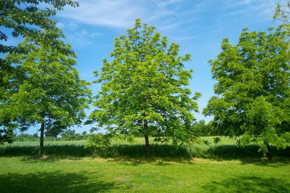Photo of Outdoor in La Bataille