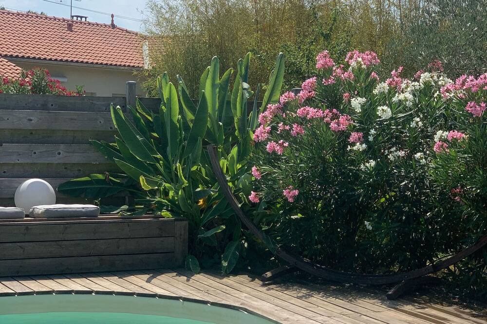 Photo of Outdoor in Ambares-et-Lagrave