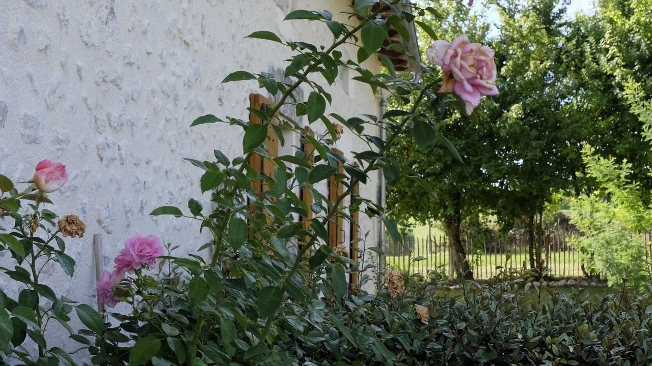 Photo of Outdoor in Nanteuil-de-Bourzac