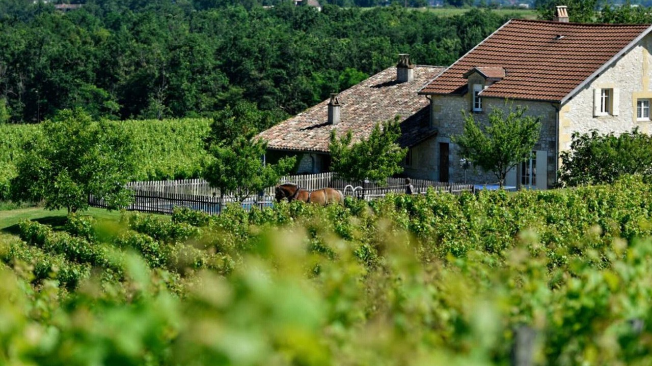 Photo of Outdoor in Saussignac