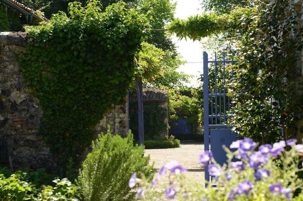 Photo of Outdoor in Saint Palais