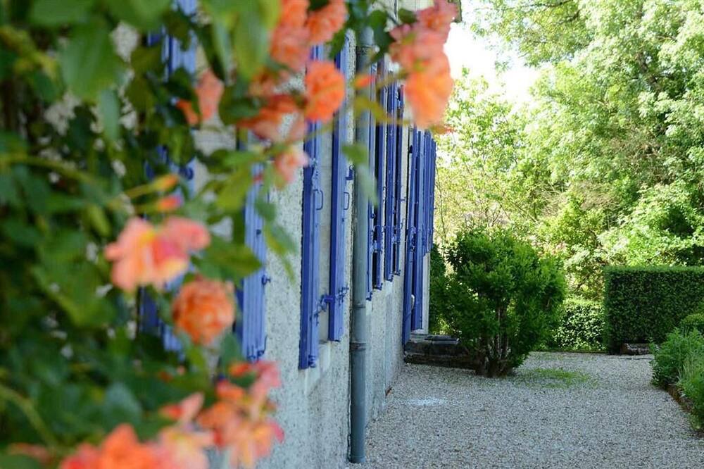 Photo of Outdoor in Saint Palais