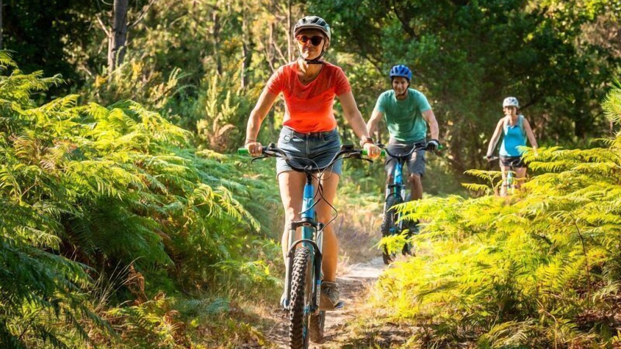 Photo of Outdoor in Ondres