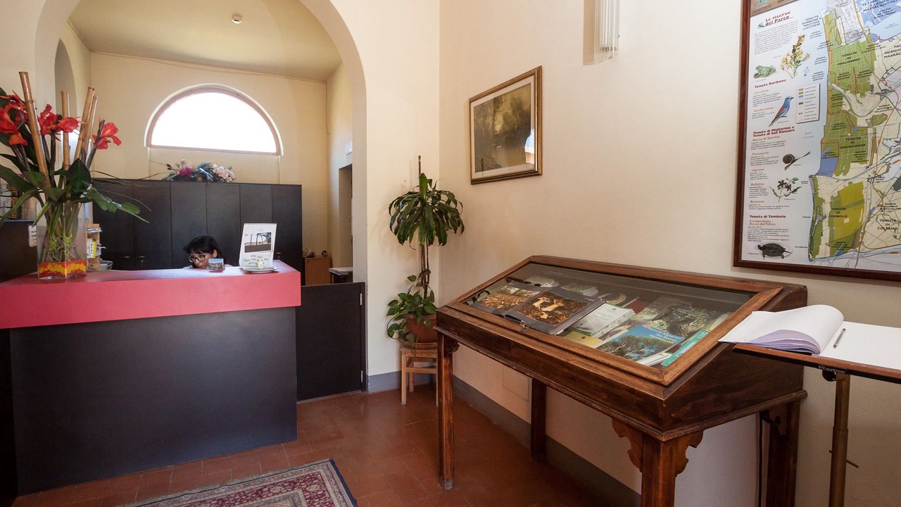 Photo of Others in San Giuliano Terme