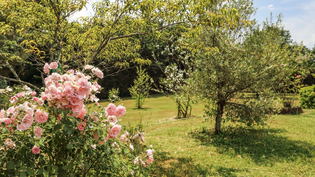 Photo of Outdoor in Marsaneix