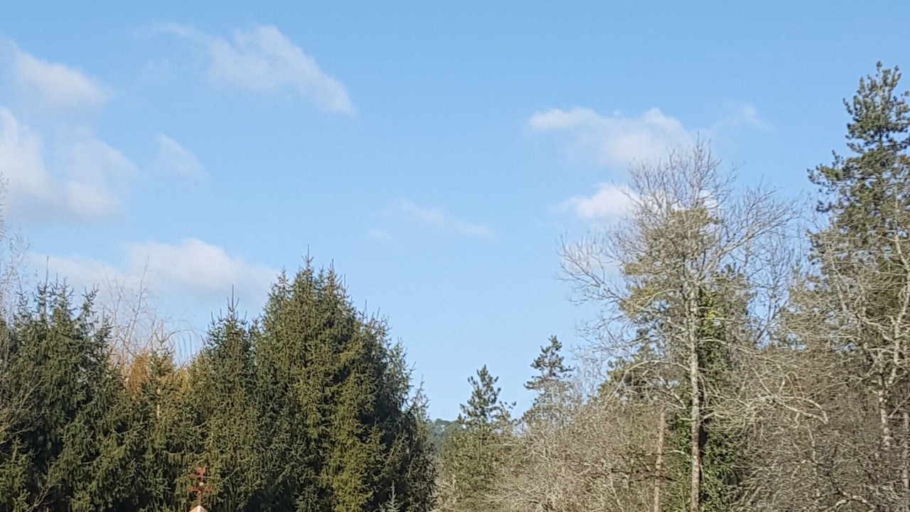 Photo of Outdoor in Auriac-du-Perigord