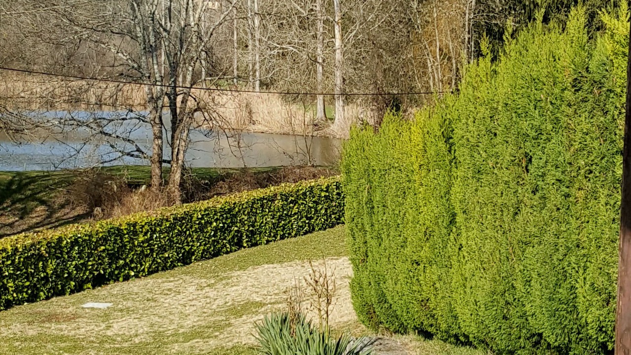 Photo of Outdoor in Auriac-du-Perigord