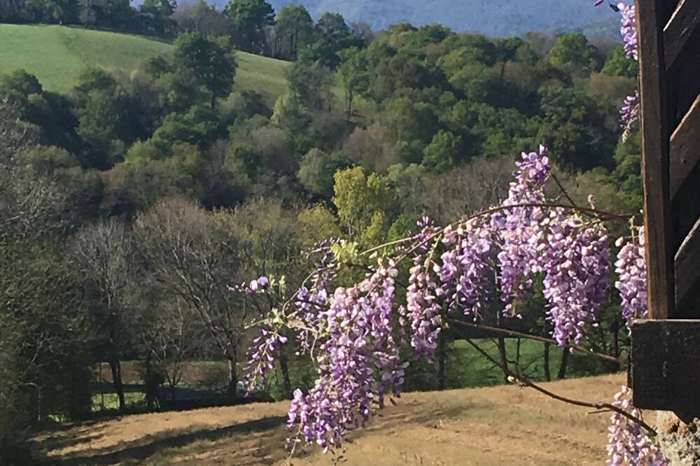 Photo of Outdoor in Oloron-Sainte-Marie
