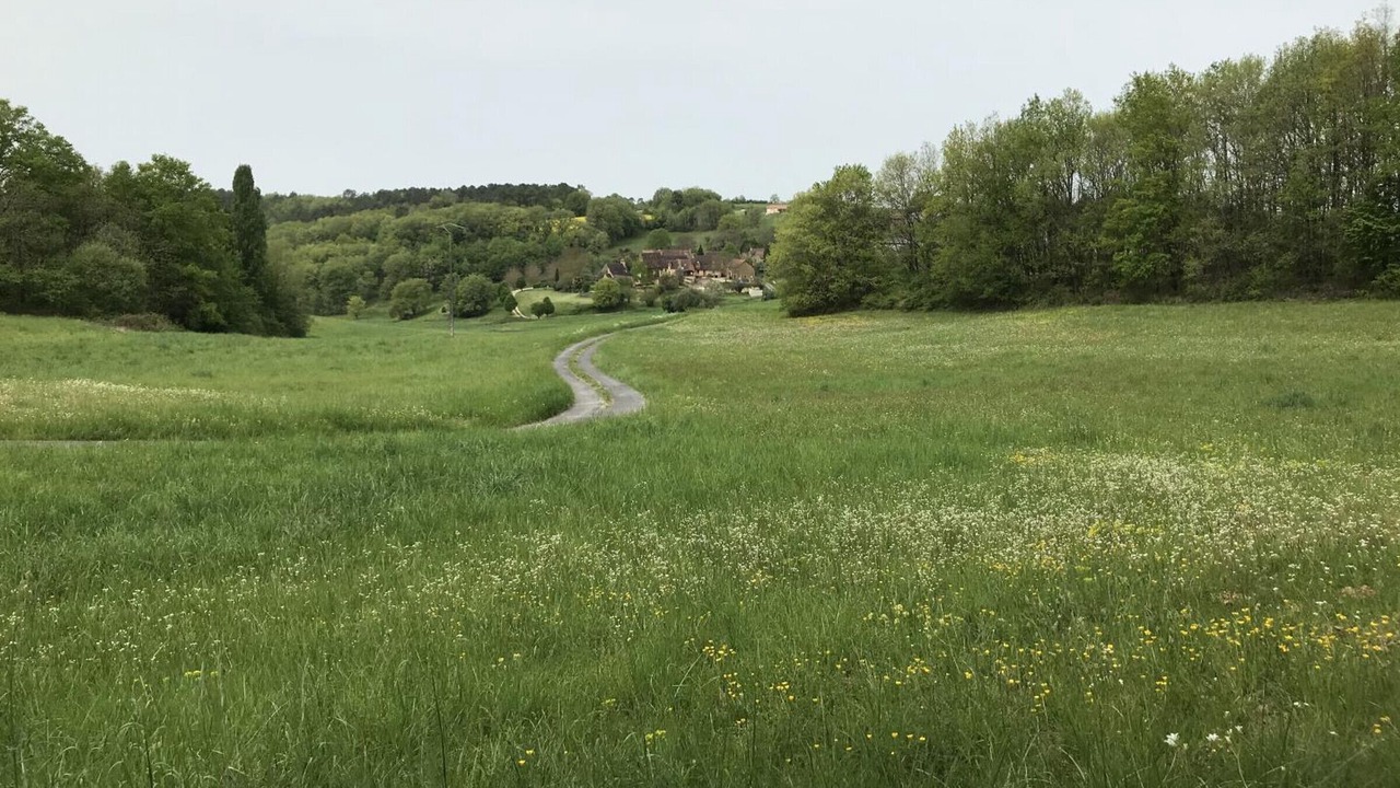 Photo of Others in Saint-Amand-de-Coly