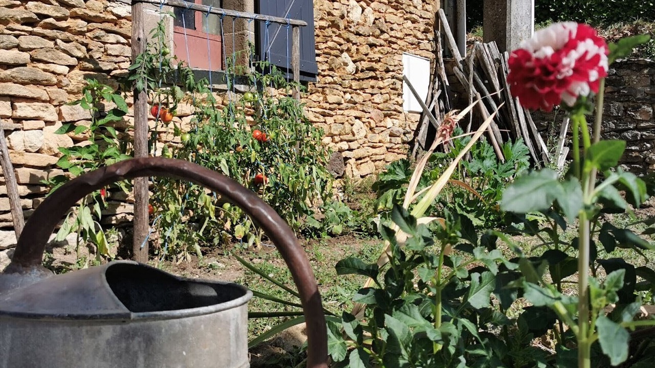 Photo of Outdoor in Saint-Amand-de-Coly