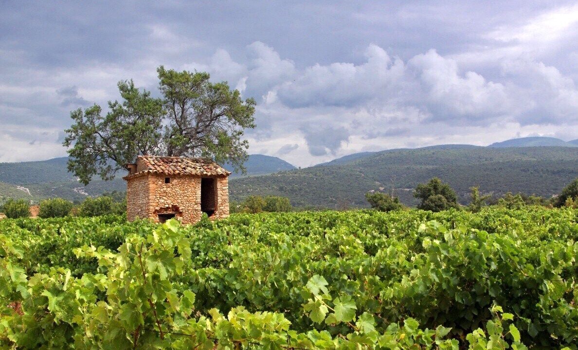 Photo of Outdoor in Cairanne