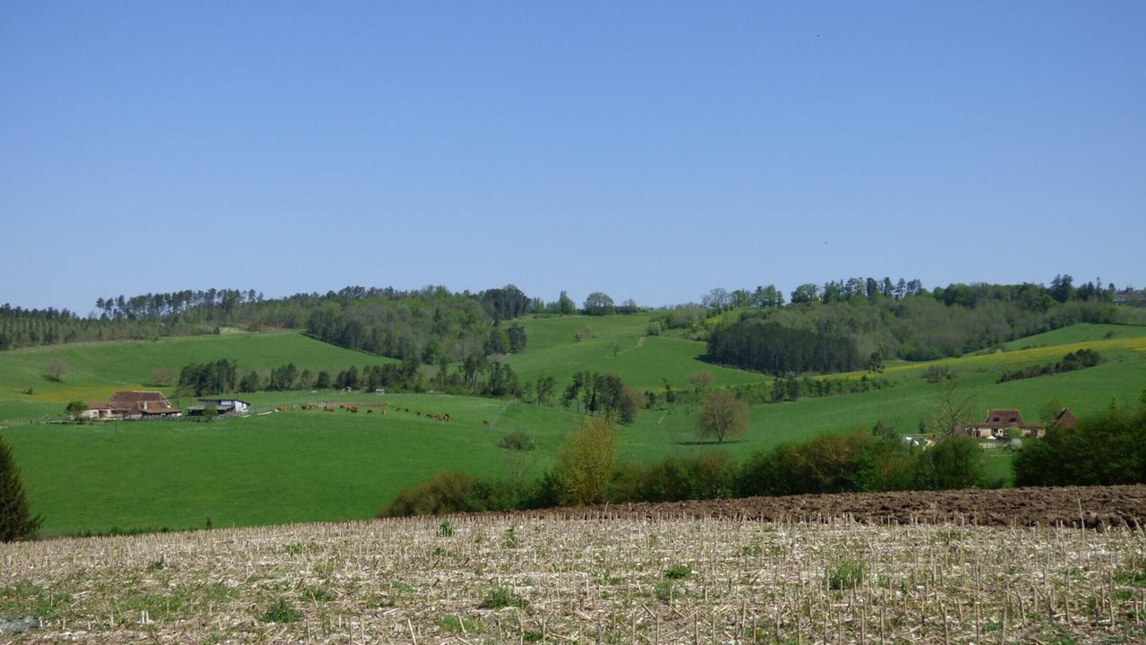 Photo of Others in Saint-Pierre-de-Chignac
