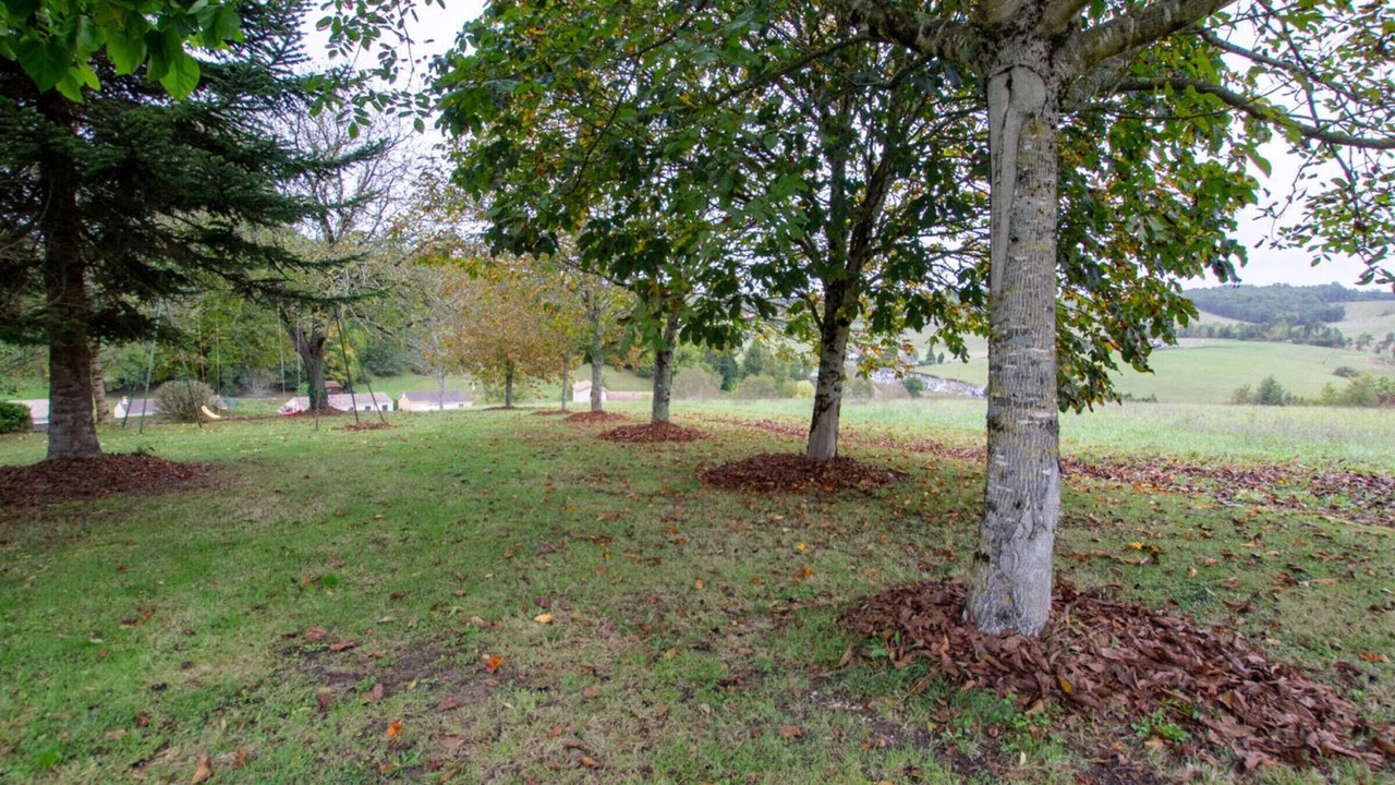 Photo of Outdoor in Saint-Pierre-de-Chignac
