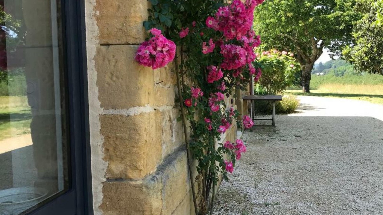 Photo of Outdoor in La Roque-Gageac