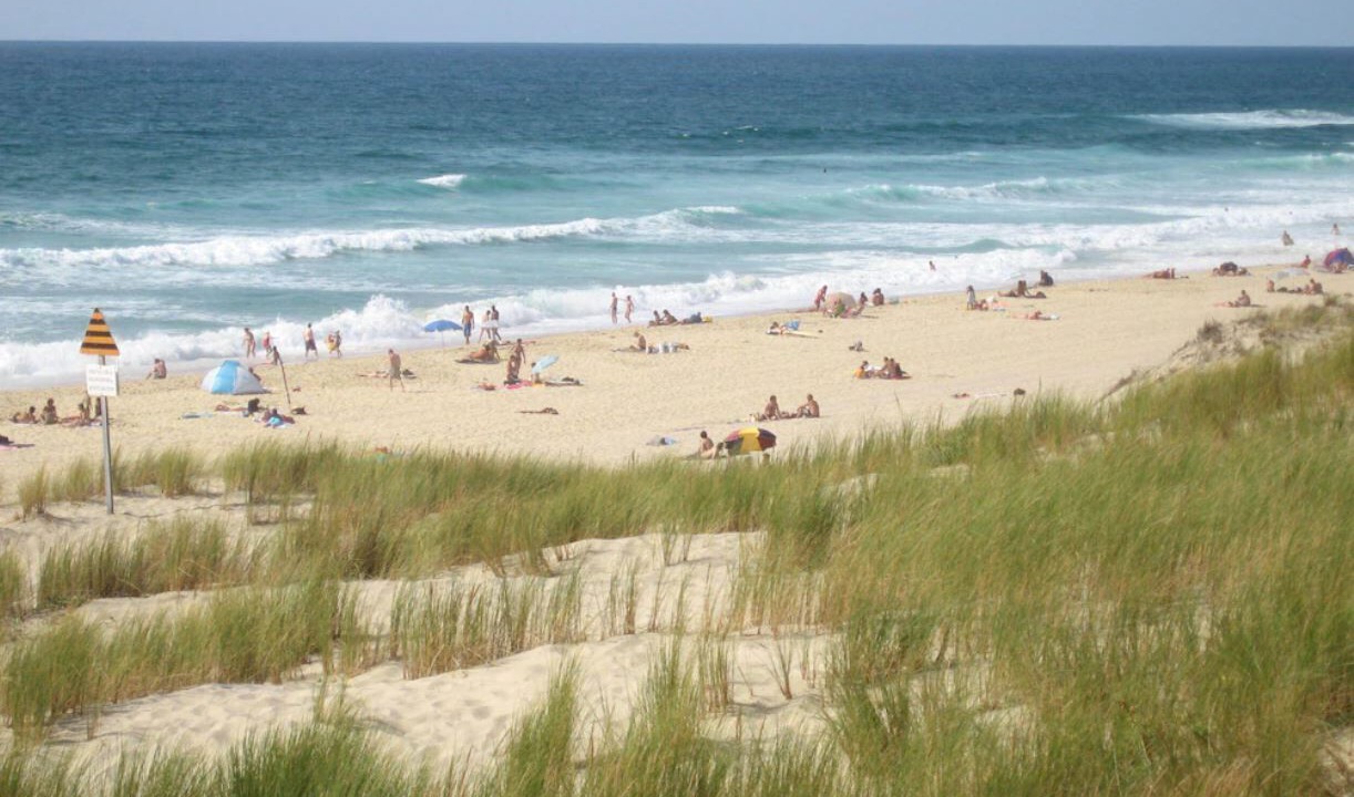 Photo of Others in Lacanau-Ocean