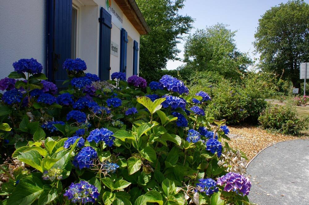 Photo of Outdoor in Les Forges