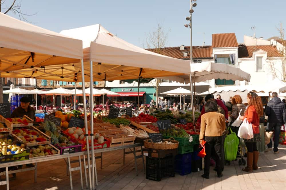 Photo of Others in Mont-de-Marsan
